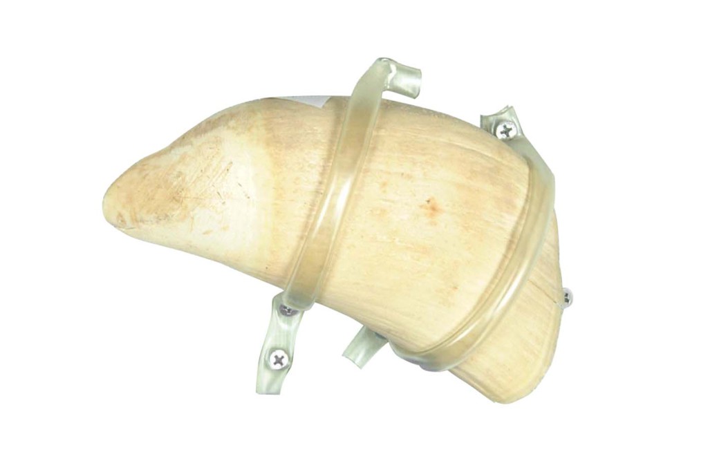 鯨歯パイプ‥マッコウクジラ 煙管，煙具，ぞうげ風，マッコウ