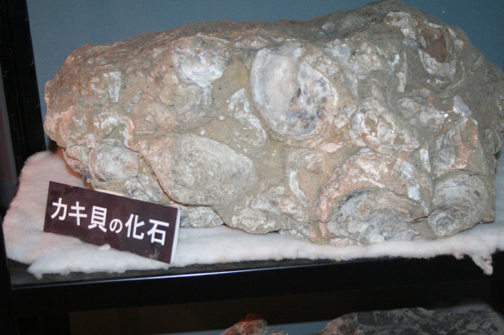 カキ化石 » 厚岸町海事記念館